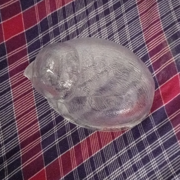 Pet glass dish bowl - Picture 9 of 11